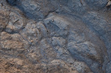 İzlanda 'dan gelen doğal doku, renk ve şekle yakın çekim. Arkaplan için güzel soyut ve sanatsal doğa.