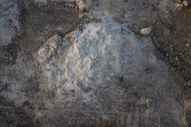 İzlanda 'dan gelen doğal doku, renk ve şekle yakın çekim. Arkaplan için güzel soyut ve sanatsal doğa.