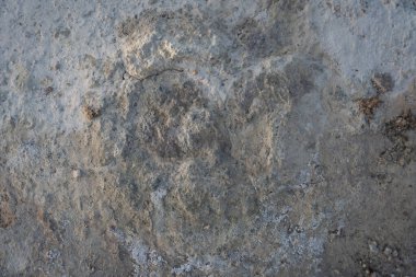 İzlanda 'dan gelen doğal doku, renk ve şekle yakın çekim. Arkaplan için güzel soyut ve sanatsal doğa.