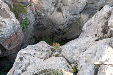 İzlanda 'dan gelen doğal doku, renk ve şekle yakın çekim. Arkaplan için güzel soyut ve sanatsal doğa.