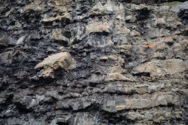 İzlanda 'dan gelen doğal doku, renk ve şekle yakın çekim. Arkaplan için güzel soyut ve sanatsal doğa.