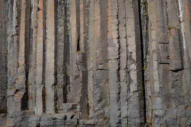 İzlanda 'dan gelen doğal doku, renk ve şekle yakın çekim. Arkaplan için güzel soyut ve sanatsal doğa.