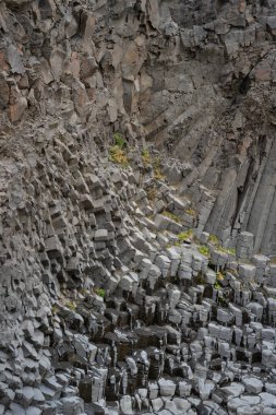 İzlanda 'dan gelen doğal doku, renk ve şekle yakın çekim. Arkaplan için güzel soyut ve sanatsal doğa.