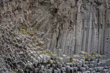 İzlanda 'dan gelen doğal doku, renk ve şekle yakın çekim. Arkaplan için güzel soyut ve sanatsal doğa.