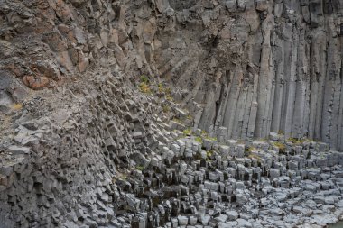 İzlanda 'dan gelen doğal doku, renk ve şekle yakın çekim. Arkaplan için güzel soyut ve sanatsal doğa.