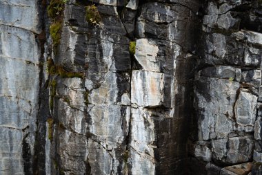 İzlanda 'dan gelen doğal doku, renk ve şekle yakın çekim. Arkaplan için güzel soyut ve sanatsal doğa.