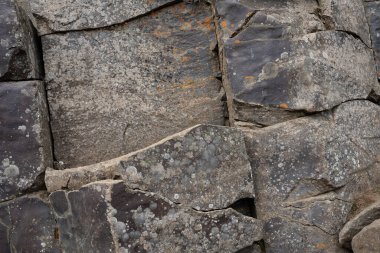 İzlanda 'dan gelen doğal doku, renk ve şekle yakın çekim. Arkaplan için güzel soyut ve sanatsal doğa.