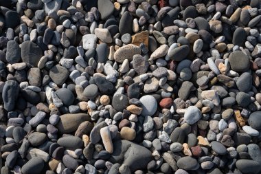 İzlanda 'dan gelen doğal doku, renk ve şekle yakın çekim. Arkaplan için güzel soyut ve sanatsal doğa.