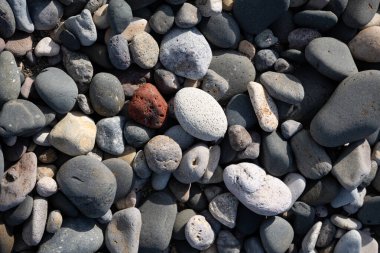 İzlanda 'dan gelen doğal doku, renk ve şekle yakın çekim. Arkaplan için güzel soyut ve sanatsal doğa.