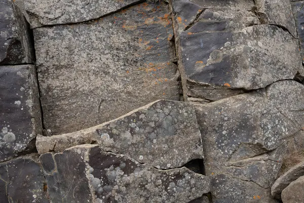 İzlanda 'dan gelen doğal doku, renk ve şekle yakın çekim. Arkaplan için güzel soyut ve sanatsal doğa.