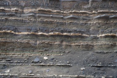 İzlanda 'dan gelen doğal doku, renk ve şekle yakın çekim. Arkaplan için güzel soyut ve sanatsal doğa.