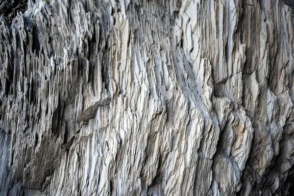 İzlanda 'dan gelen doğal doku, renk ve şekle yakın çekim. Arkaplan için güzel soyut ve sanatsal doğa.