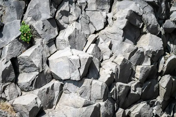 İzlanda 'dan gelen doğal doku, renk ve şekle yakın çekim. Arkaplan için güzel soyut ve sanatsal doğa.