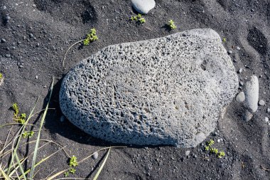 İzlanda 'dan gelen doğal doku, renk ve şekle yakın çekim. Arkaplan için güzel soyut ve sanatsal doğa.