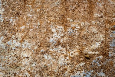 İzlanda 'dan gelen doğal doku, renk ve şekle yakın çekim. Arkaplan için güzel soyut ve sanatsal doğa.