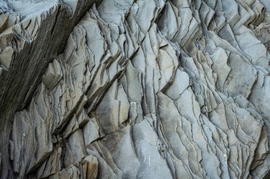 İzlanda 'dan gelen doğal doku, renk ve şekle yakın çekim. Arkaplan için güzel soyut ve sanatsal doğa.