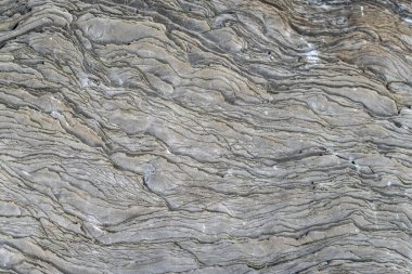 İzlanda 'dan gelen doğal doku, renk ve şekle yakın çekim. Arkaplan için güzel soyut ve sanatsal doğa.