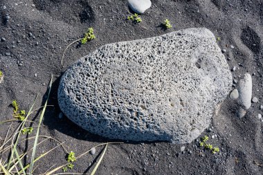 İzlanda 'dan gelen doğal doku, renk ve şekle yakın çekim. Arkaplan için güzel soyut ve sanatsal doğa.