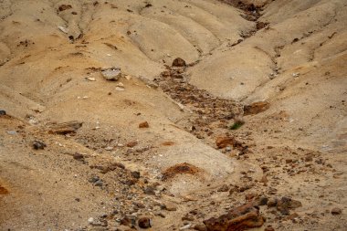 İzlanda 'dan gelen doğal doku, renk ve şekle yakın çekim. Arkaplan için güzel soyut ve sanatsal doğa.