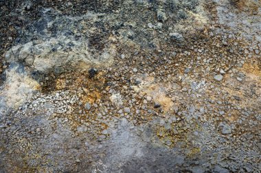 İzlanda 'dan gelen doğal doku, renk ve şekle yakın çekim. Arkaplan için güzel soyut ve sanatsal doğa.