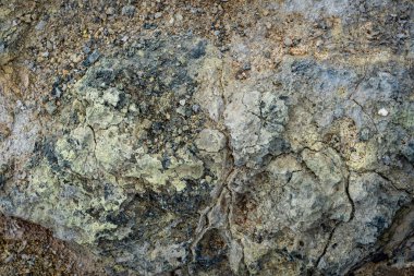 İzlanda 'dan gelen doğal doku, renk ve şekle yakın çekim. Arkaplan için güzel soyut ve sanatsal doğa.