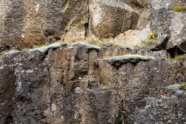 İzlanda 'dan gelen doğal doku, renk ve şekle yakın çekim. Arkaplan için güzel soyut ve sanatsal doğa.