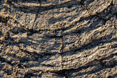 İzlanda 'dan gelen doğal doku, renk ve şekle yakın çekim. Arkaplan için güzel soyut ve sanatsal doğa.