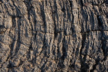 İzlanda 'dan gelen doğal doku, renk ve şekle yakın çekim. Arkaplan için güzel soyut ve sanatsal doğa.