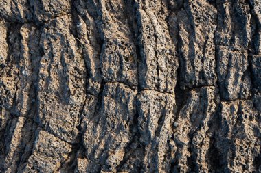 İzlanda 'dan gelen doğal doku, renk ve şekle yakın çekim. Arkaplan için güzel soyut ve sanatsal doğa.