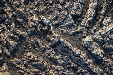 İzlanda 'dan gelen doğal doku, renk ve şekle yakın çekim. Arkaplan için güzel soyut ve sanatsal doğa.