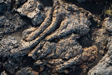İzlanda 'dan gelen doğal doku, renk ve şekle yakın çekim. Arkaplan için güzel soyut ve sanatsal doğa.