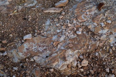 İzlanda 'dan gelen doğal doku, renk ve şekle yakın çekim. Arkaplan için güzel soyut ve sanatsal doğa.