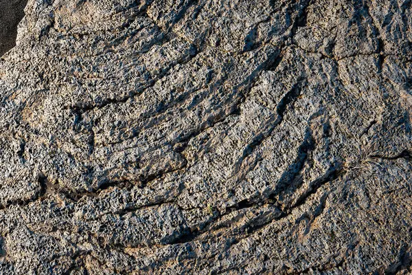 İzlanda 'dan gelen doğal doku, renk ve şekle yakın çekim. Arkaplan için güzel soyut ve sanatsal doğa.
