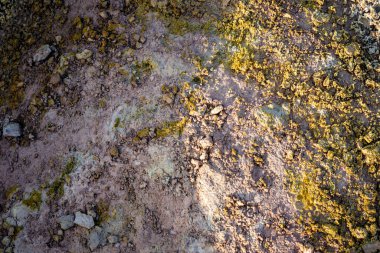 İzlanda 'dan gelen doğal doku, renk ve şekle yakın çekim. Arkaplan için güzel soyut ve sanatsal doğa.