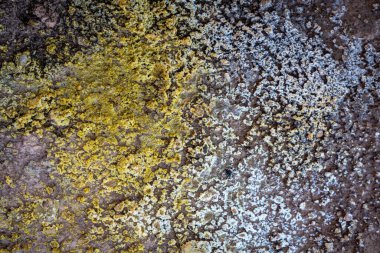 İzlanda 'dan gelen doğal doku, renk ve şekle yakın çekim. Arkaplan için güzel soyut ve sanatsal doğa.