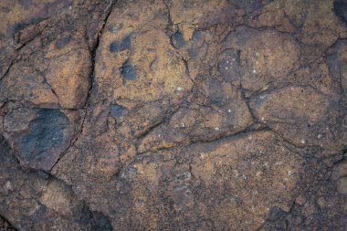 İzlanda 'dan gelen doğal doku, renk ve şekle yakın çekim. Arkaplan için güzel soyut ve sanatsal doğa.