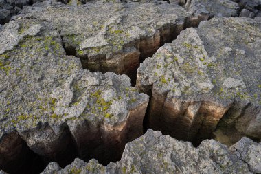 İzlanda 'dan gelen doğal doku, renk ve şekle yakın çekim. Arkaplan için güzel soyut ve sanatsal doğa.