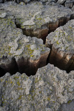 İzlanda 'dan gelen doğal doku, renk ve şekle yakın çekim. Arkaplan için güzel soyut ve sanatsal doğa.