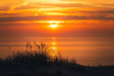 Gündoğumu plajda Hayalet Ormanı Nienhagen Baltık Denizi, Baltık Sahili, Mecklenburg-Vorpommern, Almanya