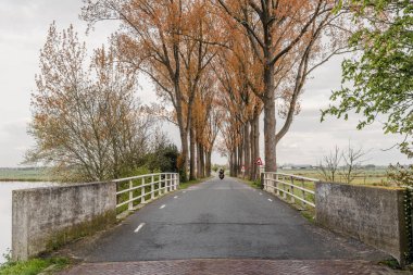 Baharda Marken, Waterland, North Hol yakınlarında doğa ve manzara