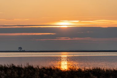 Baltık Denizi ve Mecklenburg-Vorpommern 'de Baltık Denizi plajı