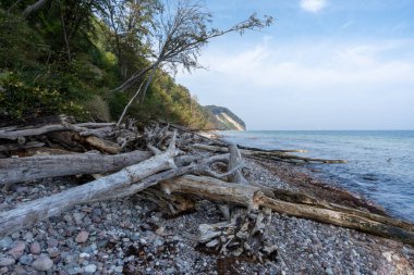 Chalk Coast Chalk Cliffs Ulusal Parkı Jasmund Rgen Adası 'nda