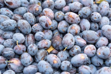 Arkaplan olarak olgun erikler. Yakın plan. Seçici odak.