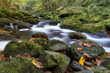 Buchberger Leite Wildbachklamm im Bayerischer Wald Deutschland