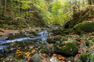 Buchberger Leite Wildbachklamm im Bayerischer Wald Deutschland