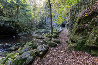 Buchberger Leite Wildbachklamm im Bayerischer Wald Deutschland