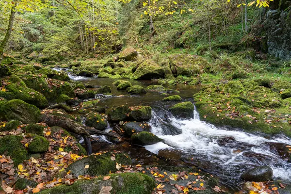 Buchberger Leite Wildbachklamm im Bayerischer Wald Deutschland