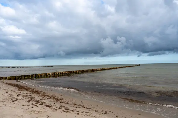 Baltık Denizi Fischland Zingst Darss Mecklenburg Vorpommern