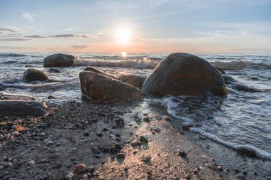 Baltık Denizi Fischland Zingst Darss Mecklenburg Vorpommern