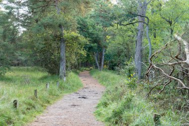 Ulusal Park Vorpommersche Boddenlandschaft Fischland Zingst D